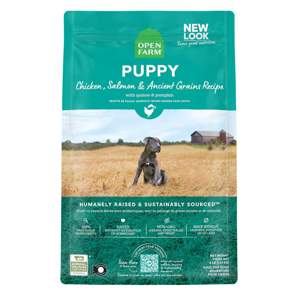 Pasture Raised Lamb Ancient Grains Dry Dog Food E56240