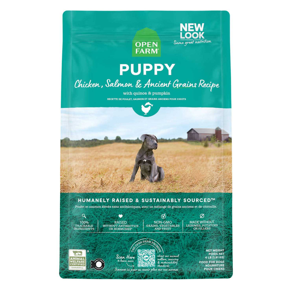 Pasture Raised Lamb Ancient Grains Dry Dog Food E56240
