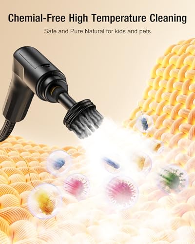 2500W Handheld Steam Cleaner V5456