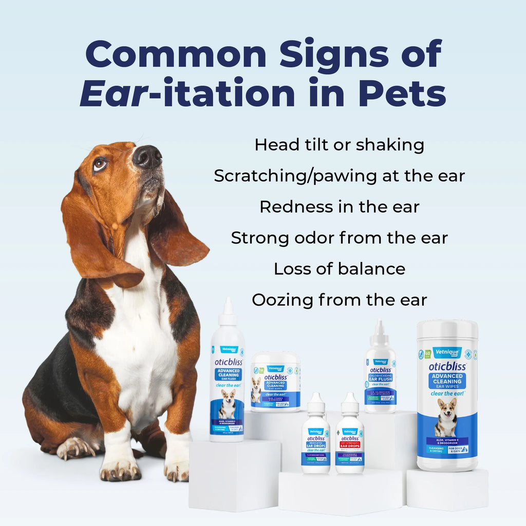 Medicated Chlorhexidine Ear Flush C393707