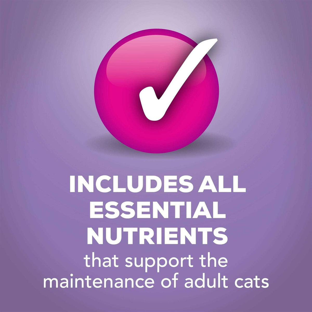 Turkey Dinner Wet Cat Food C38036