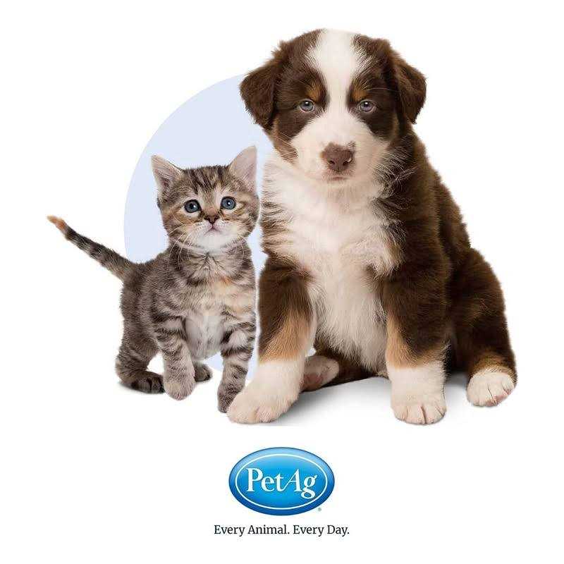 High Calorie Gel for Cats A25485