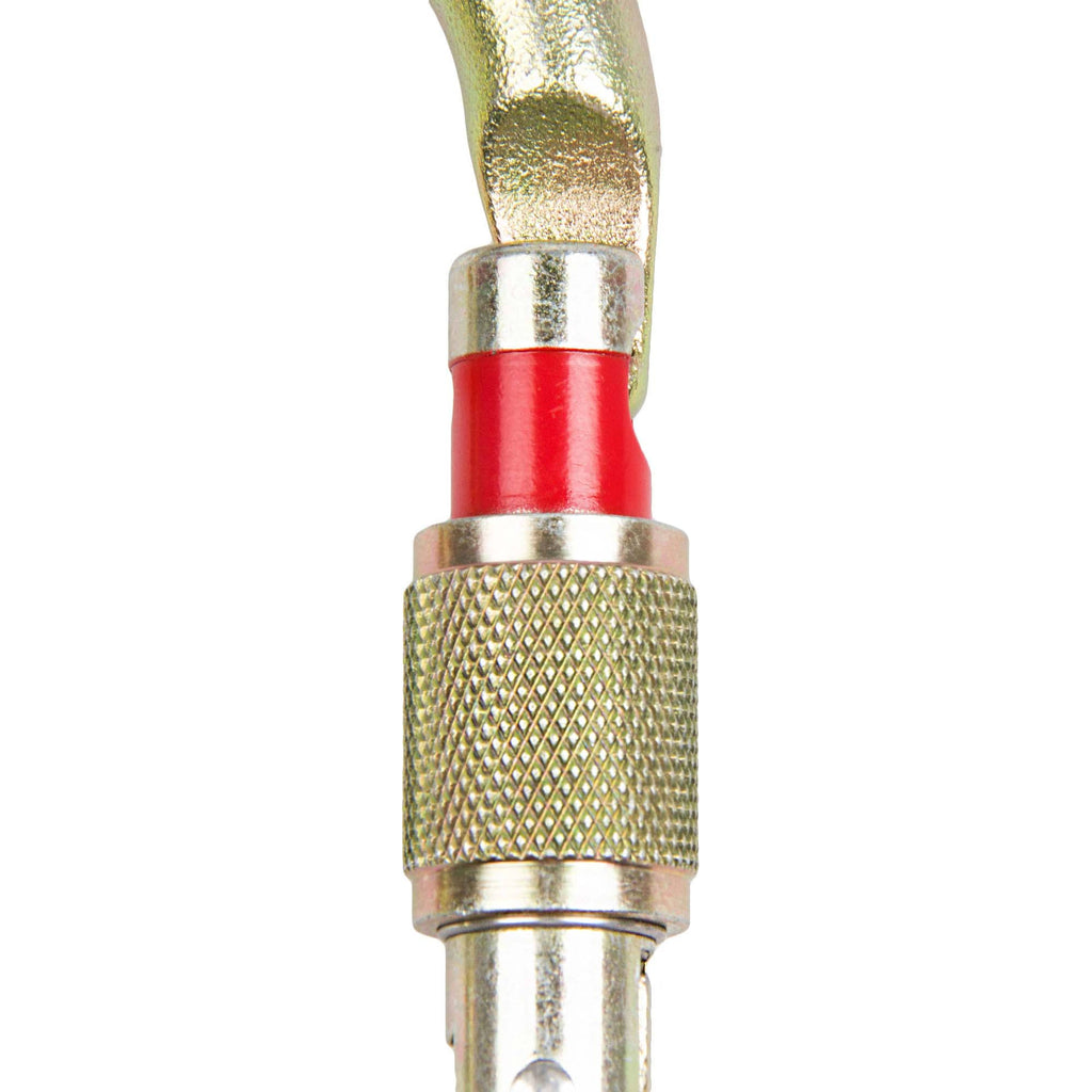 Screw Lock Carabiner F2055