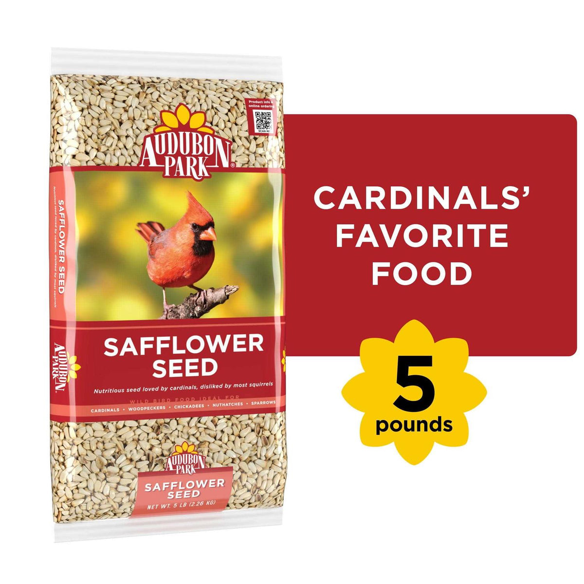 Safflower Seed Wild Bird Food J792468