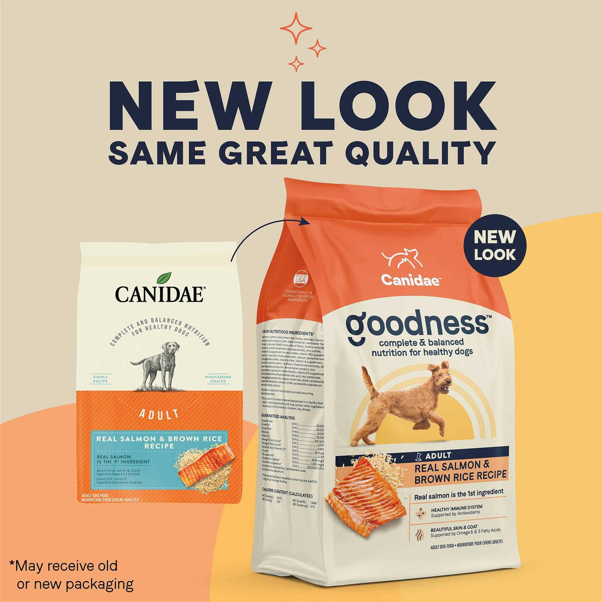 Salmon & Brown Rice Dry Dog Food I696846