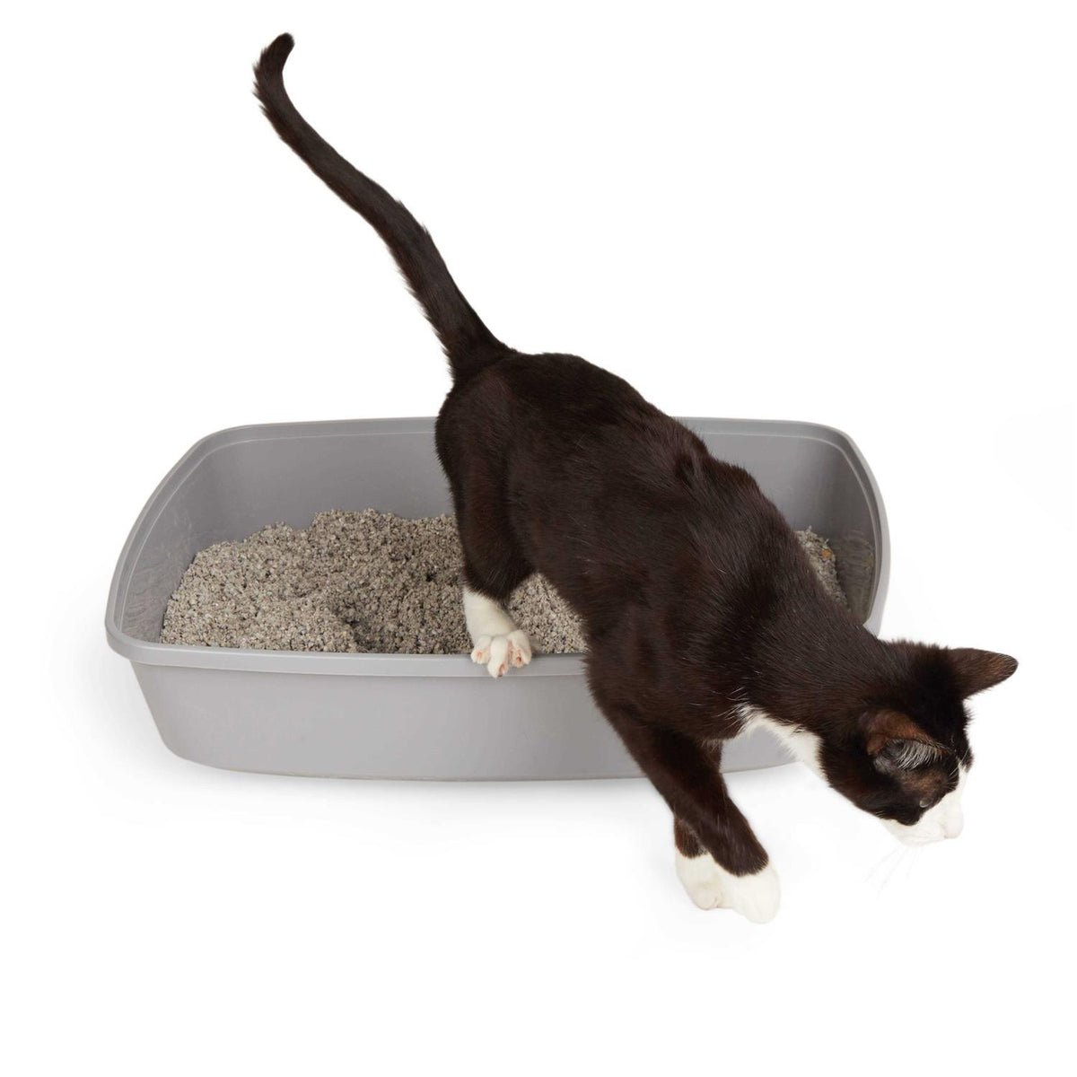 Open Cat Litter Box W1083