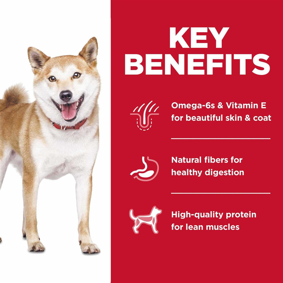 Chicken Dry Dog Food L263
