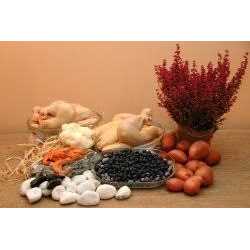 Grain Free Chicken Dog Food L60455