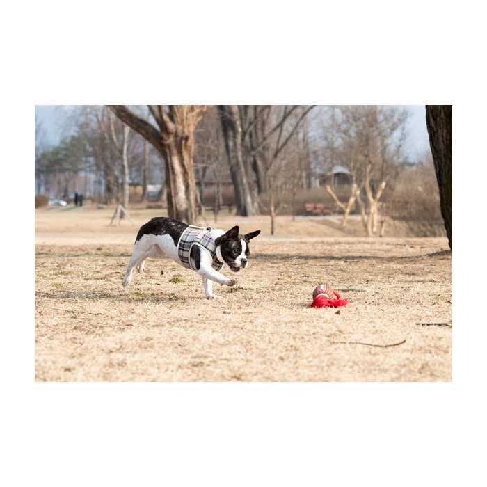 Dog Harness N151339