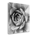 Canvas Art H372449