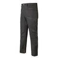 Pants C697534