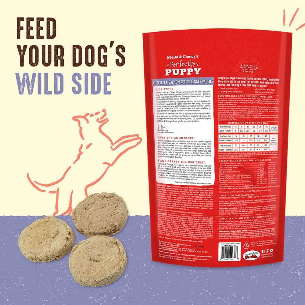 Freeze-Dried Raw Dog Food Salmon Patties F883371