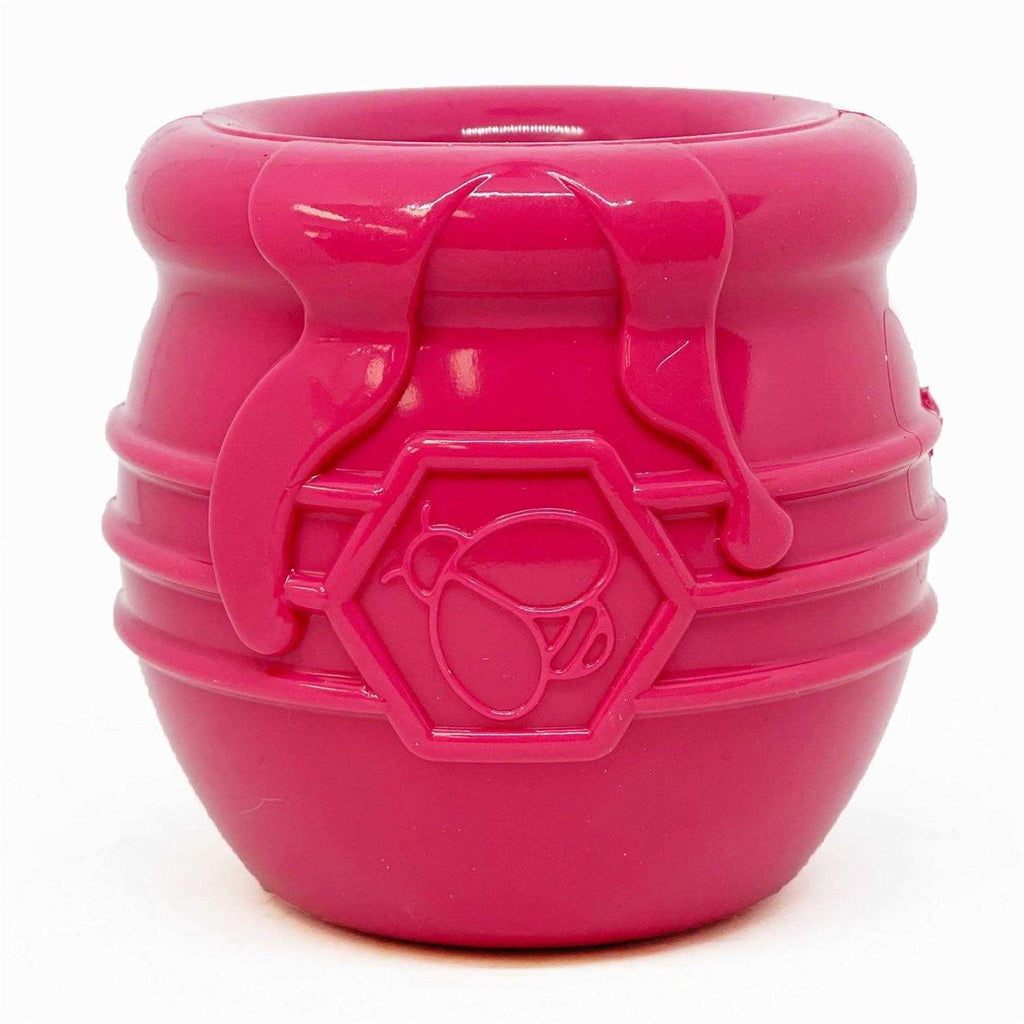 Durable Treat Dispenser & Enrichment Toy R804
