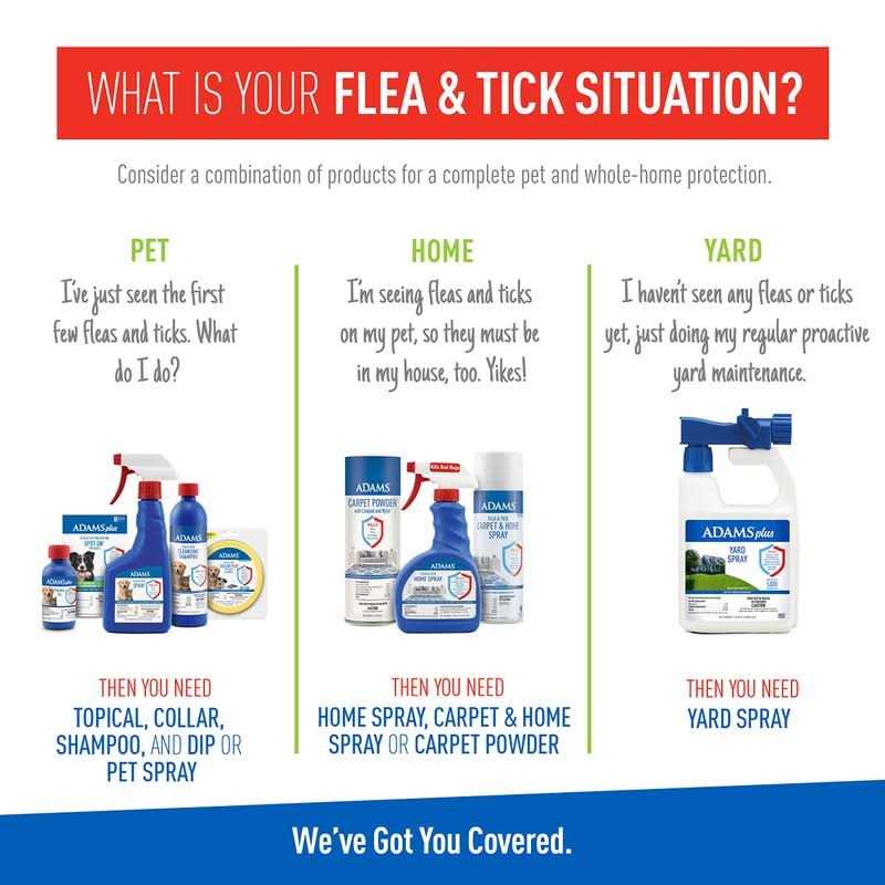 Flea Tick Shampoo U82153