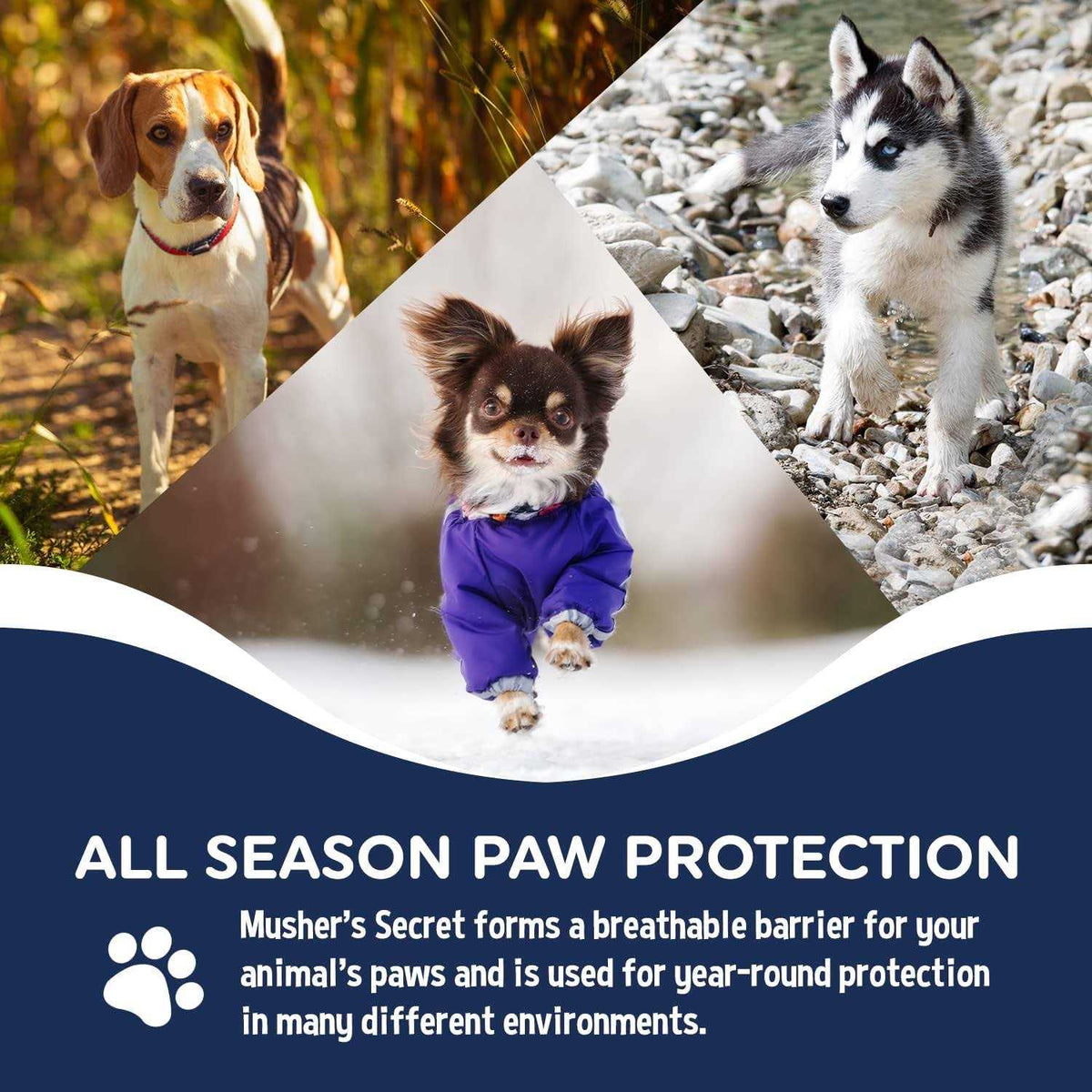 Pet Paw Protection Wax S377
