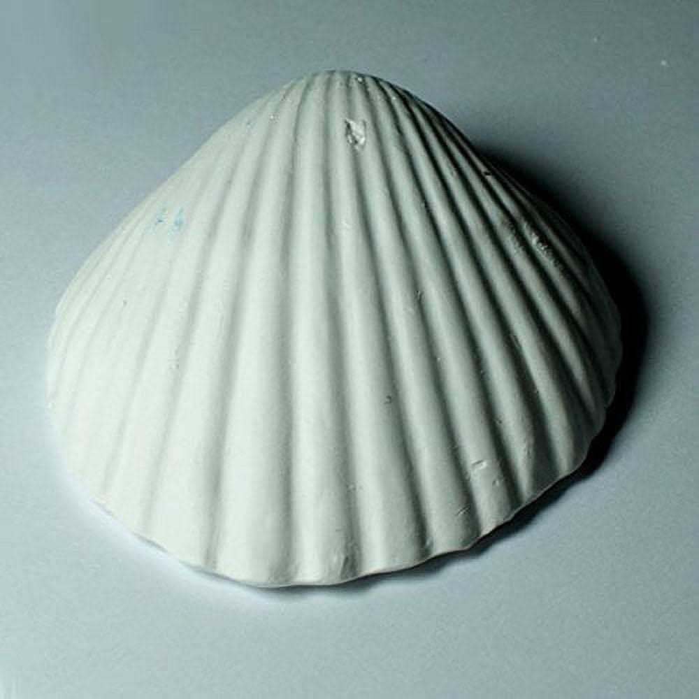 Shell N530355