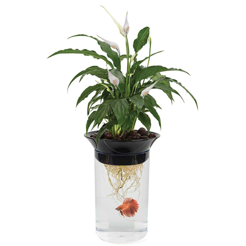 Aqua-Ponic Planter & Fish Habitat Y5020