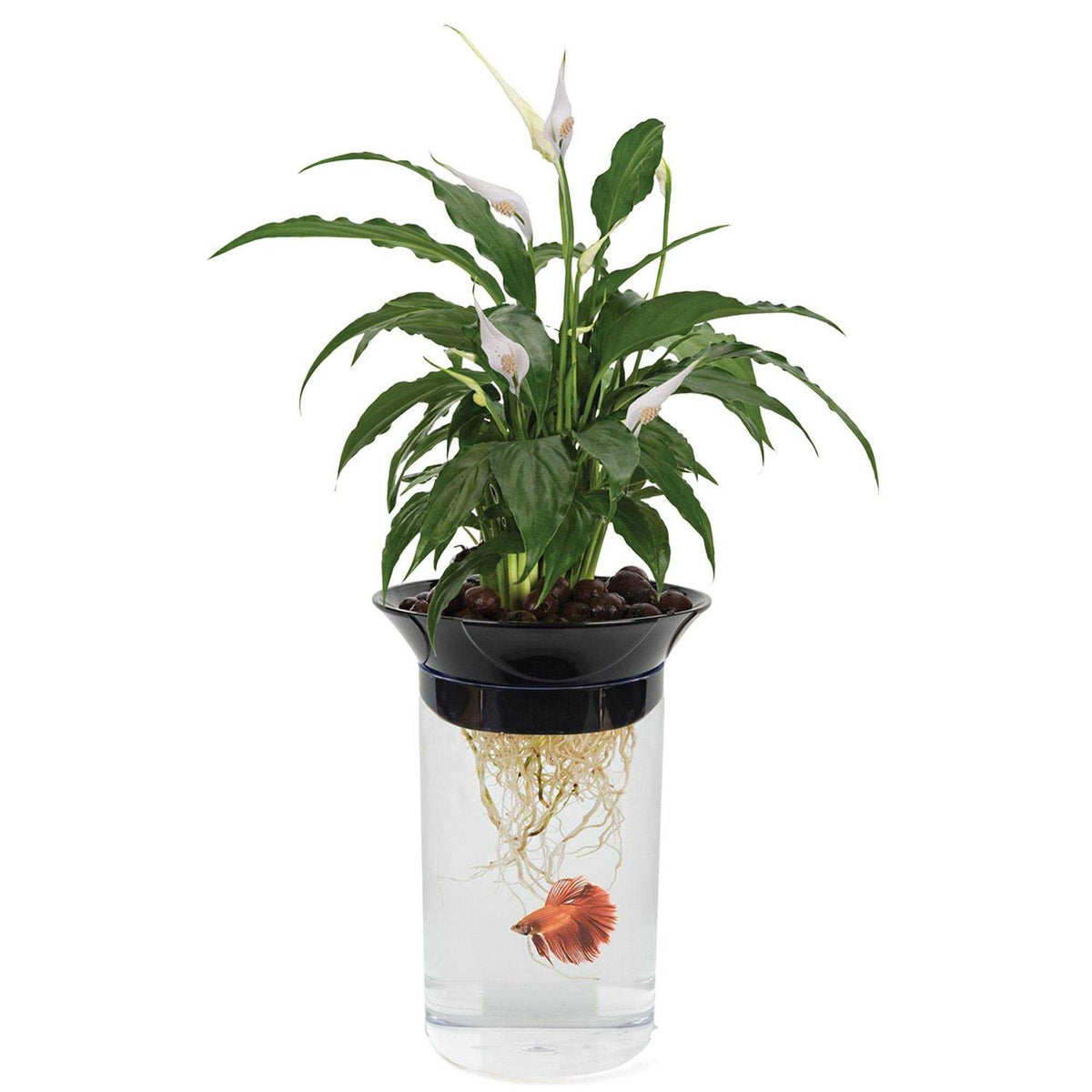 Aqua-Ponic Planter & Fish Habitat Y5020