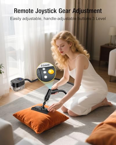 2500W Handheld Steam Cleaner V5456