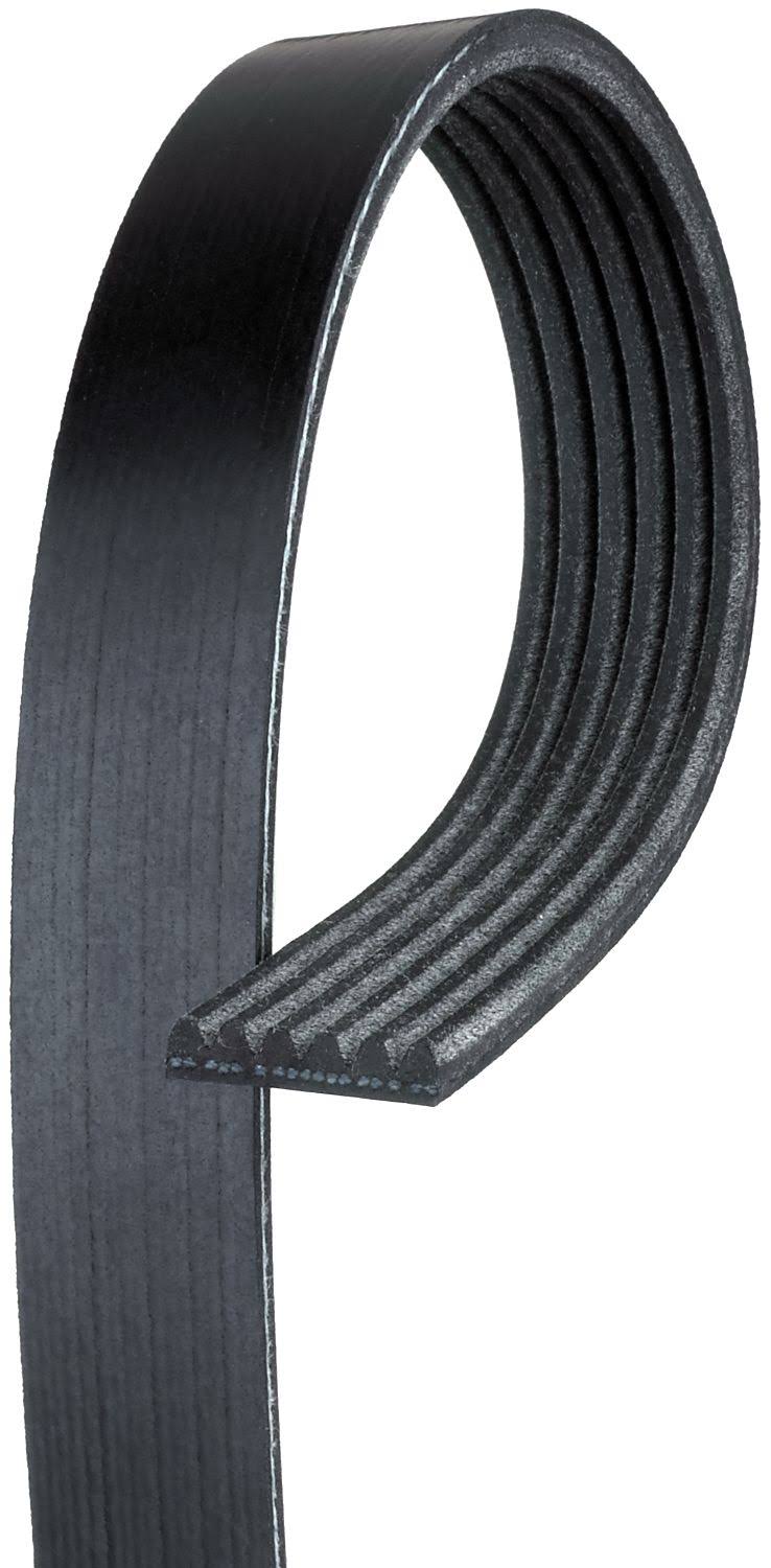 Serpentine Belt U384973