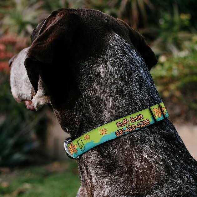 Scooby Doo Dog Collar L21537
