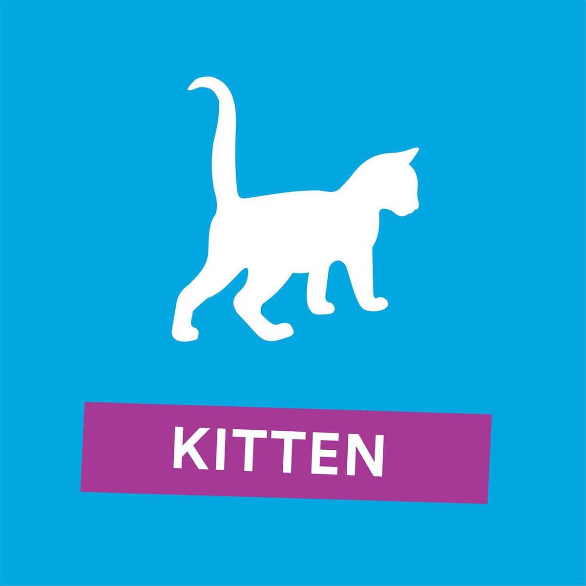 Grain Free Salmon Recipe Dry Kitten Food F24728