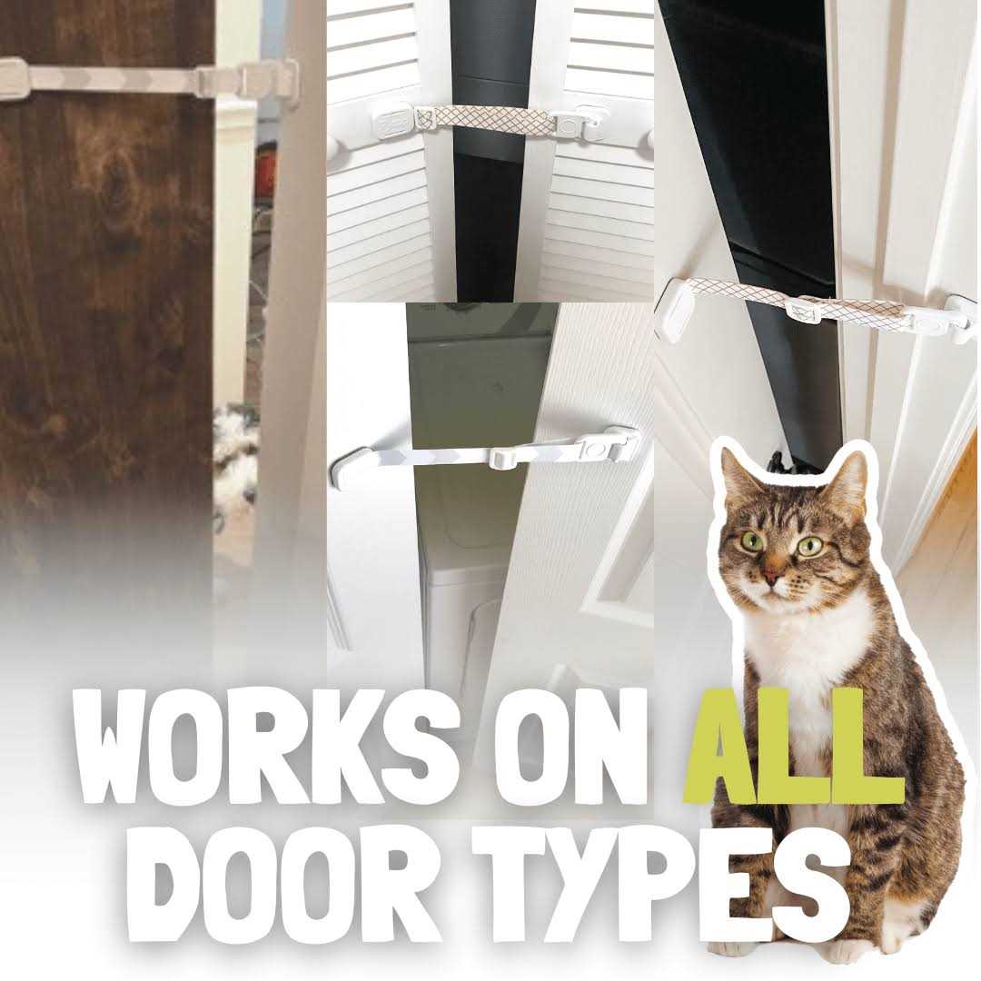 Dog Latch Cat Door C398