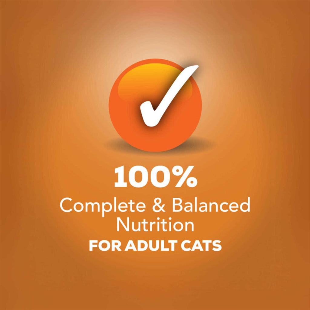 Wet Cat Food with Chicken in Gravy Z939700