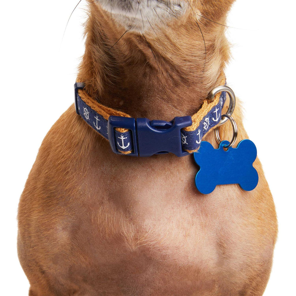 Dog Collar H2299