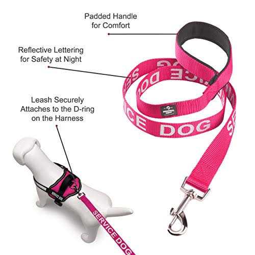 Service Dog Vest and Leash Set F6363