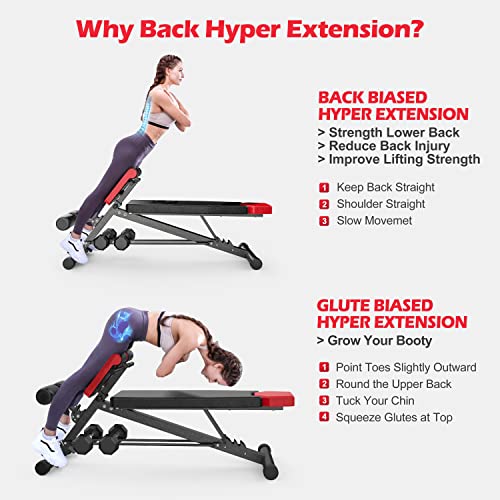 Adjustable Weight Bench V951440