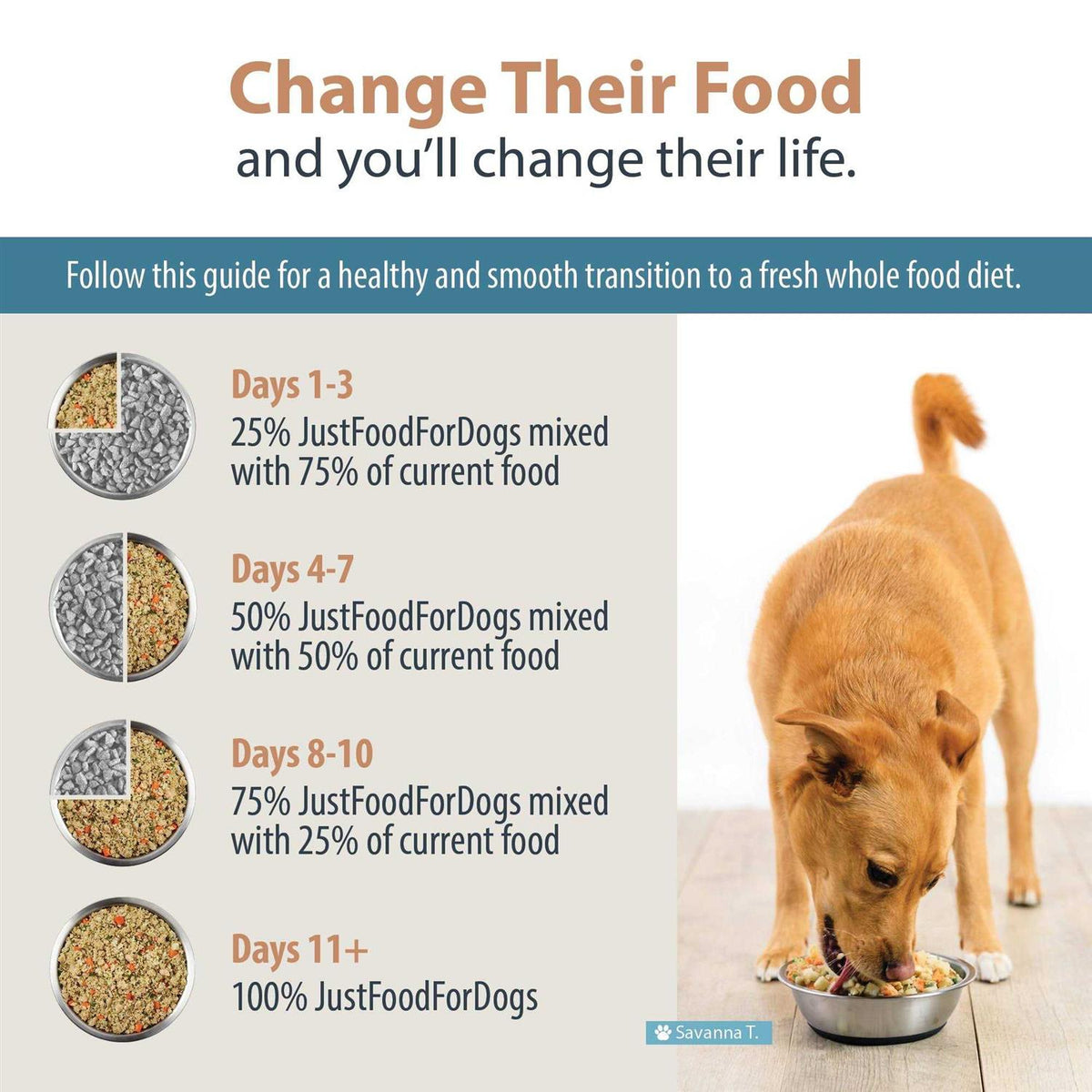 Frozen Dog Food Q937462