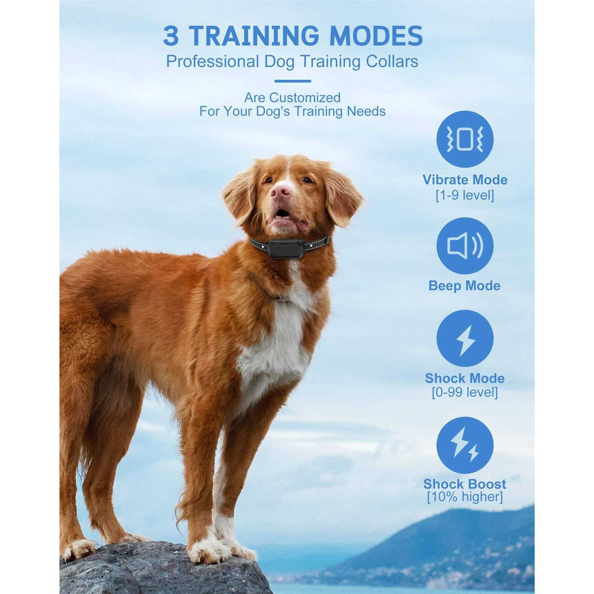 Dog Training Collar with Remote K81265