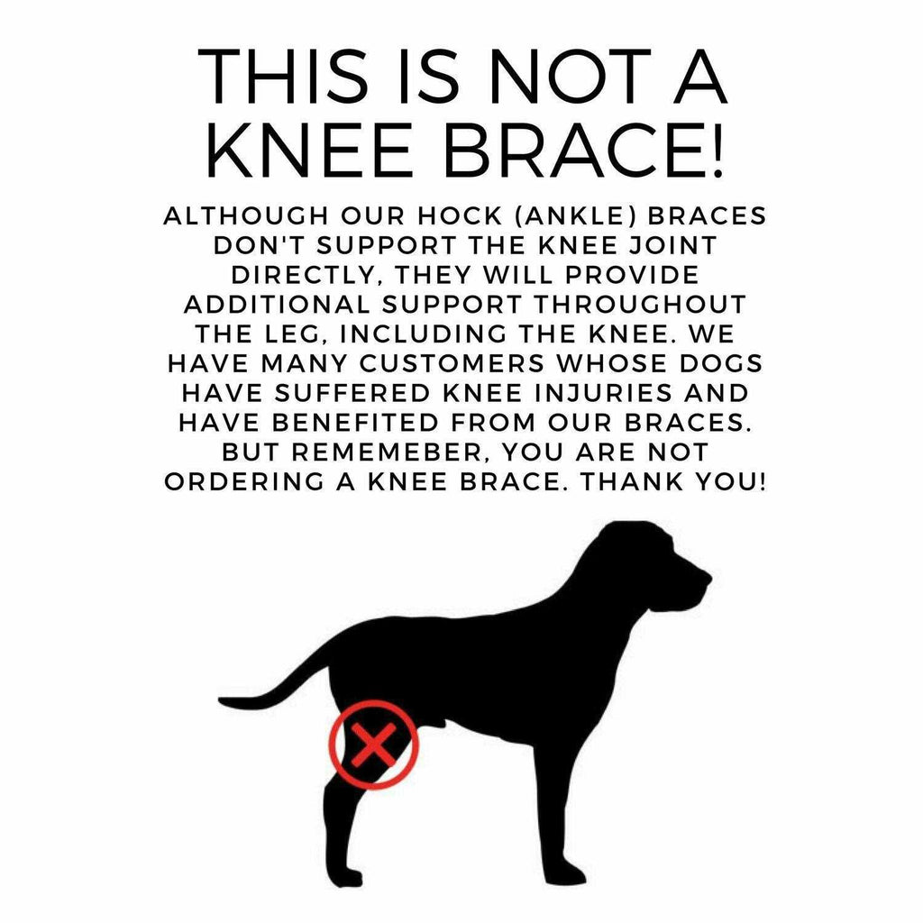 Dog Rear Leg Hock Joint Compression Wrap K1837