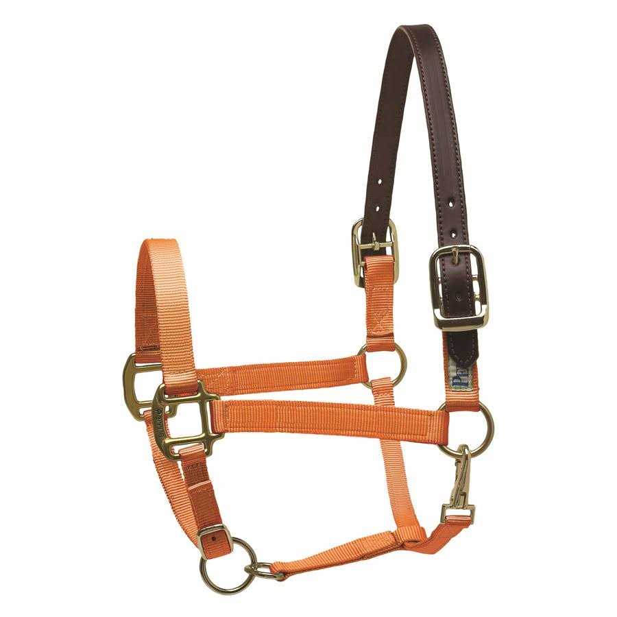 MSM Pet Supplies O830