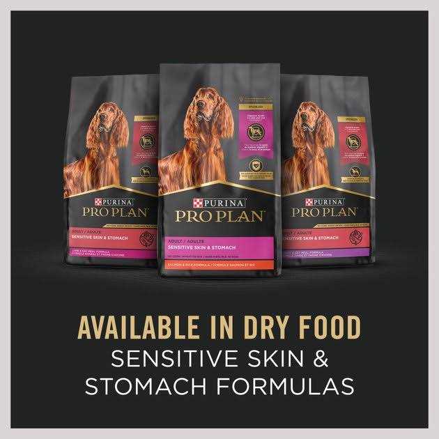 Oat Meal Entree Wet Dog Food A4153