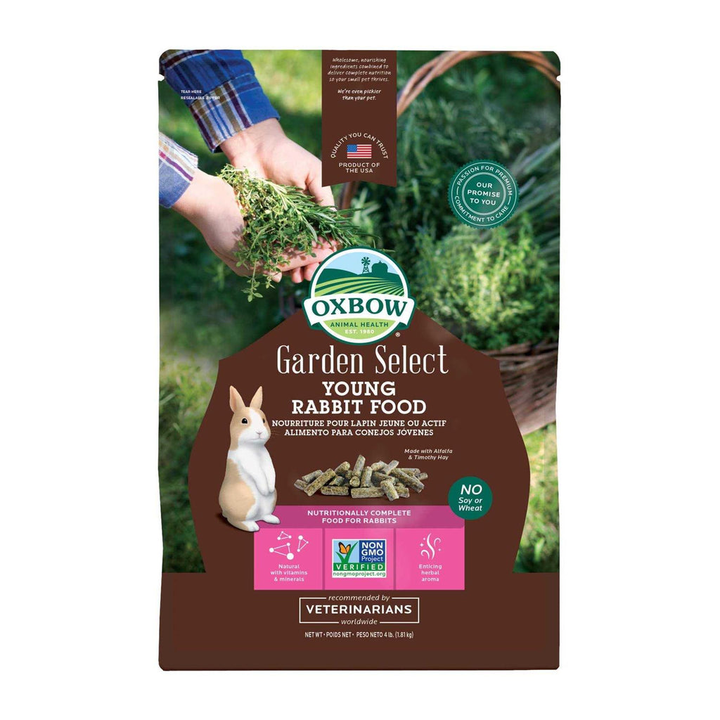 Young Rabbit Food R897