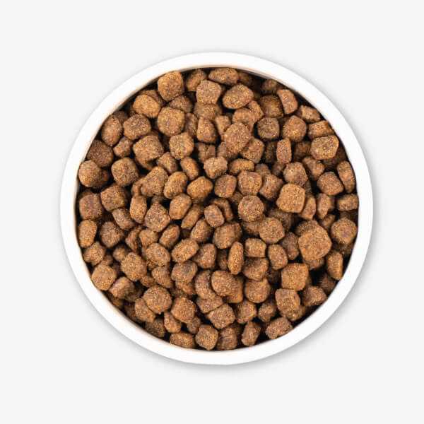 Grain Free Dry Dog Food E79058