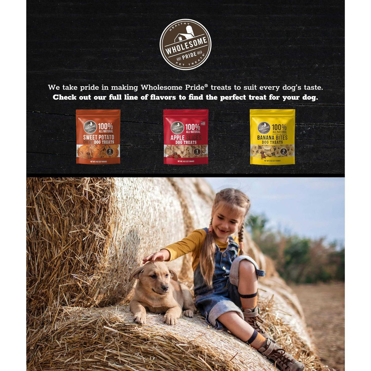 Sweet Potato Chews Dog Treats L479012