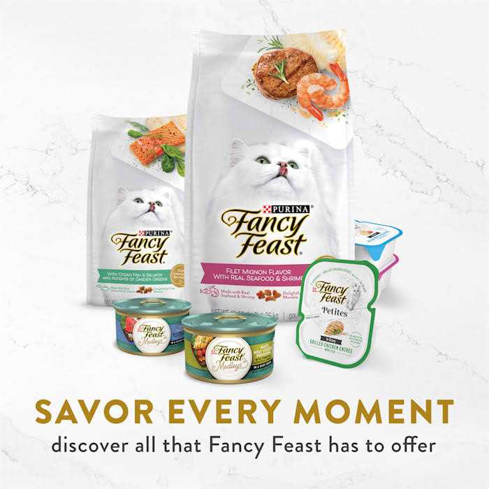Wet Cat Food S71103