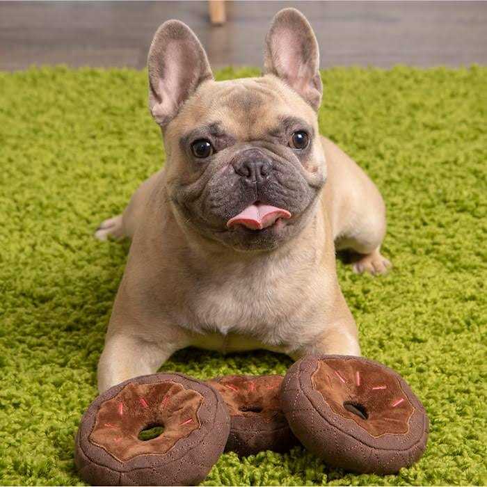 Donut Squeaky Plush Dog Toy C91738