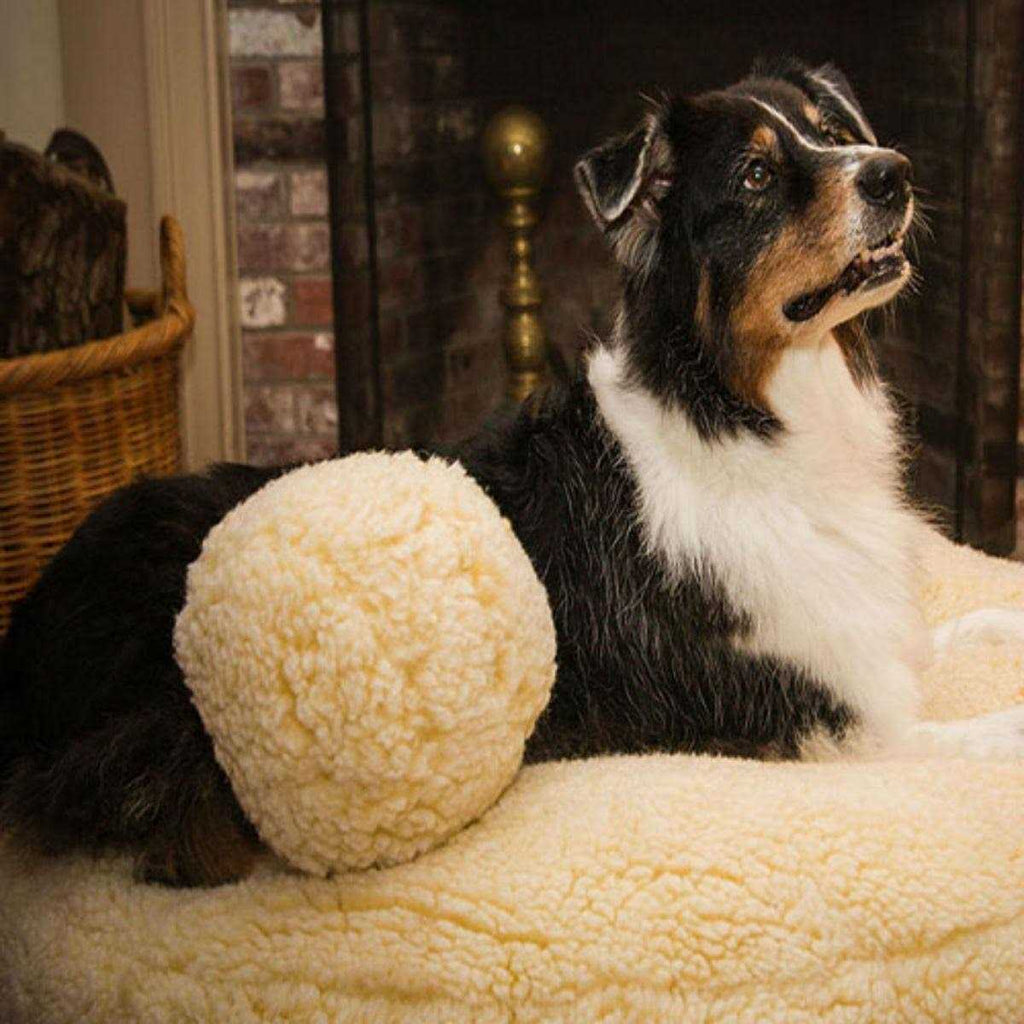 Fleece Ball Dog Toy U271078