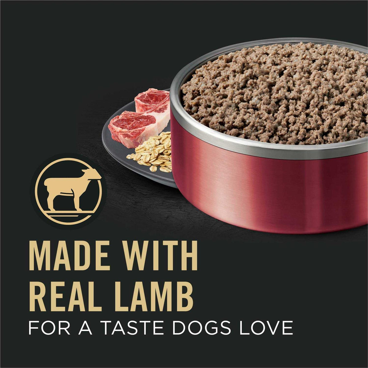 Oat Meal Entree Wet Dog Food A4153