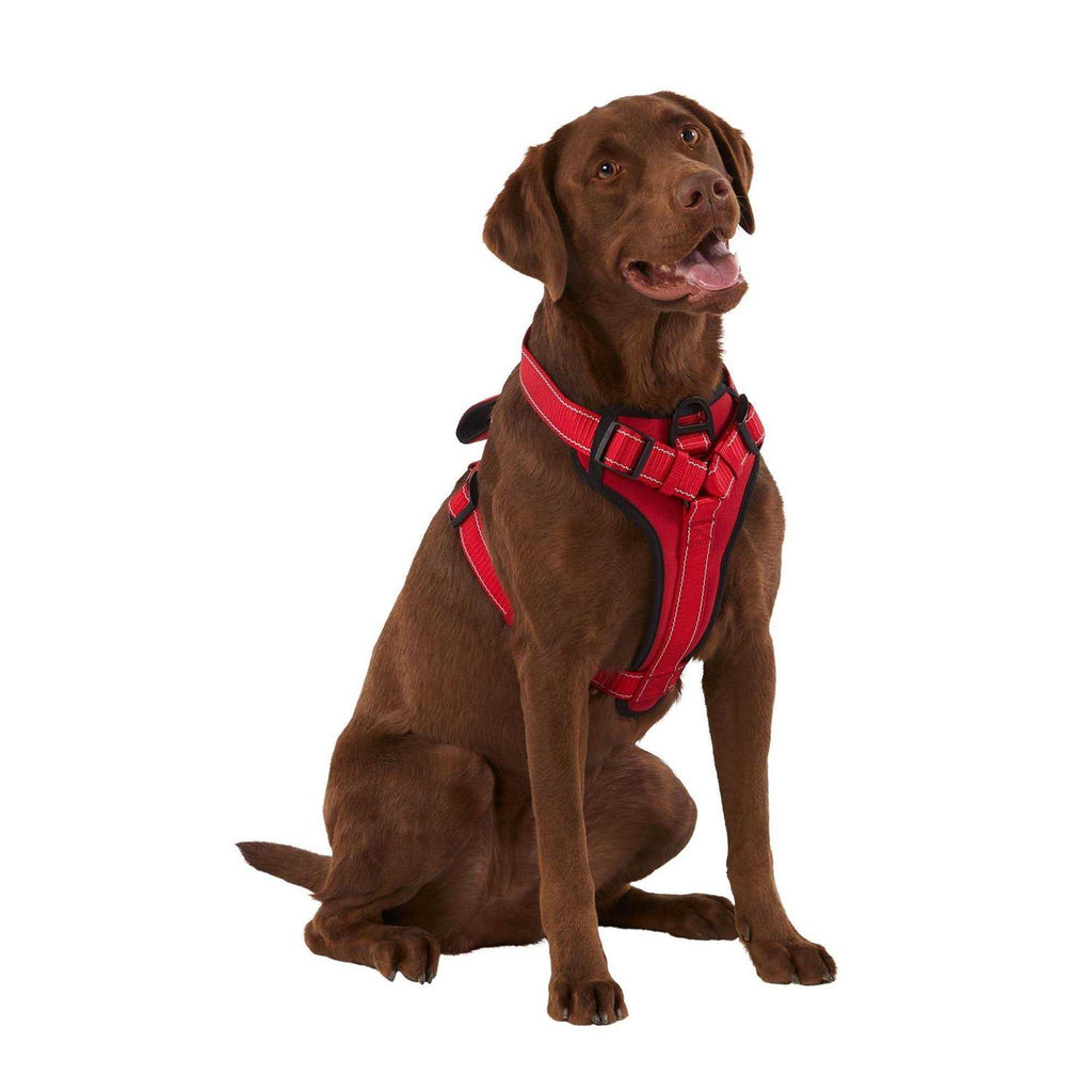 Neoprene Padded Dog Harness Z21343