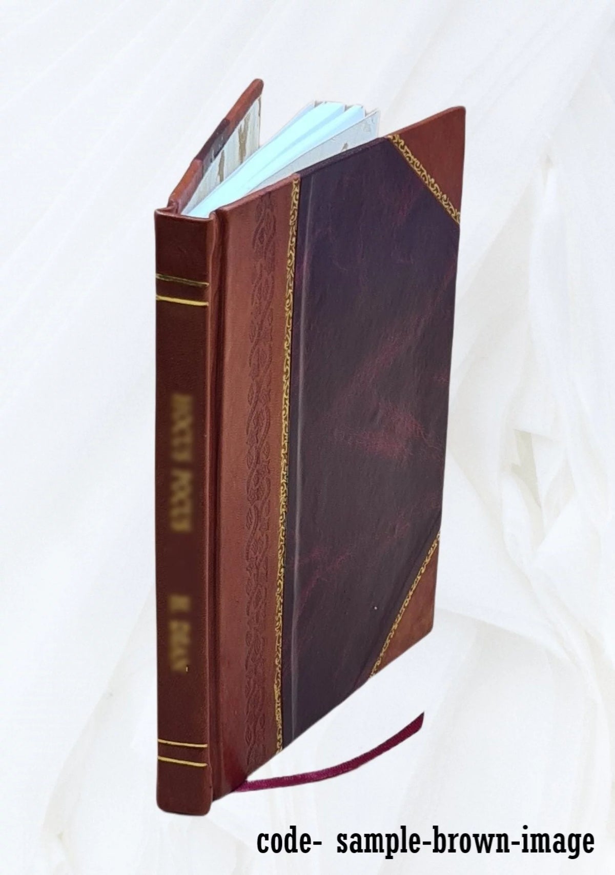 Rural Virginia Health 1900-1952 Leather Bound H311473