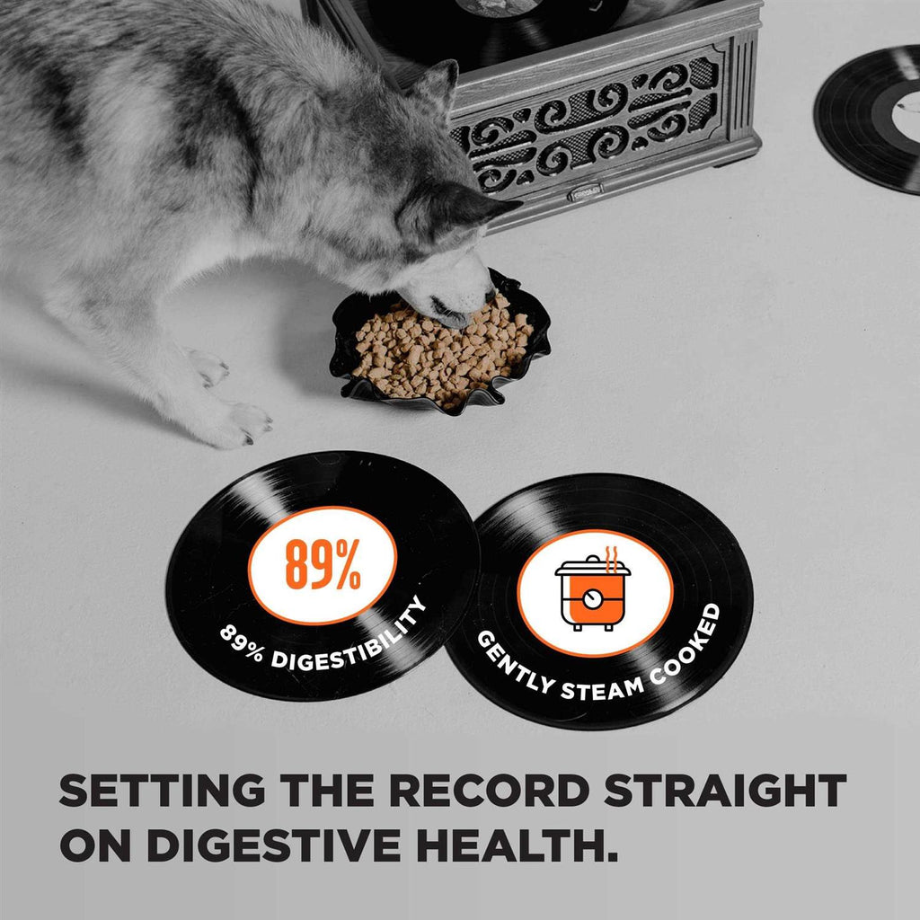 Grain Free Dry Dog Food Chicken B9760