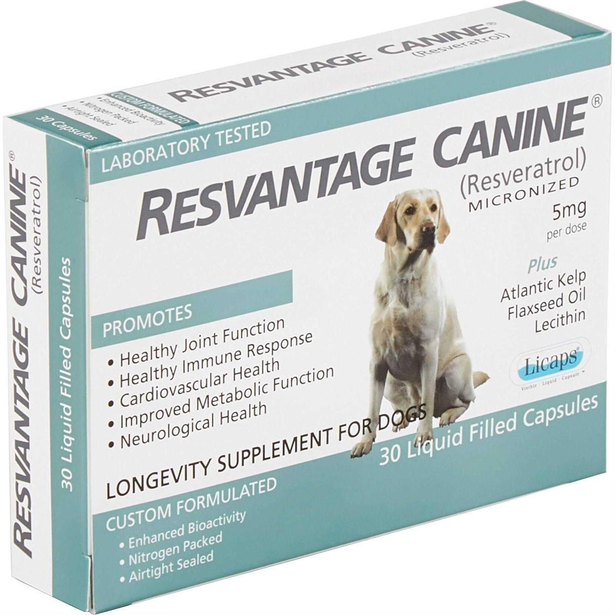 Pet Supplies C3739