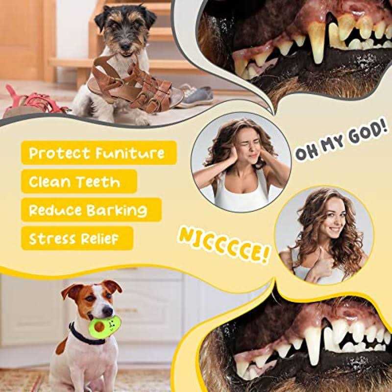 Dog Toy U2012