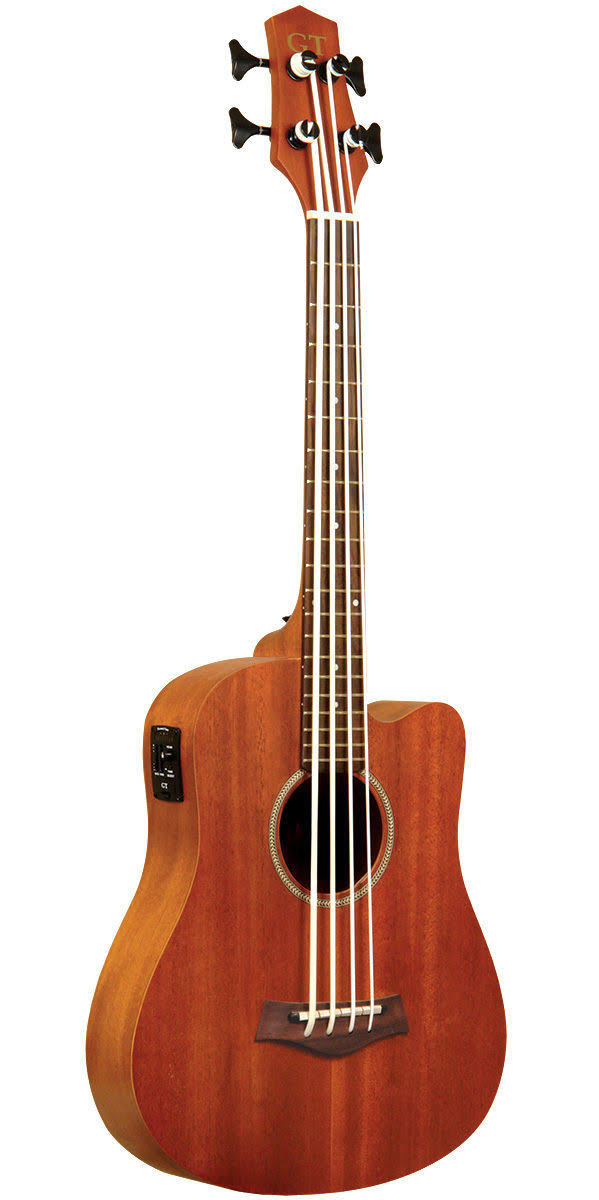 Short-Scale Acoustic Electric Bass Z4521
