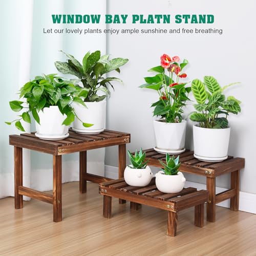 3 Tiered Wood Plant Stand Shelf F697352